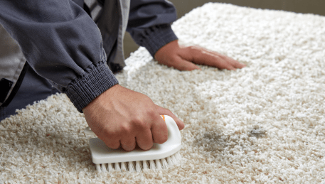 Professional Rug Cleaning Gisborne